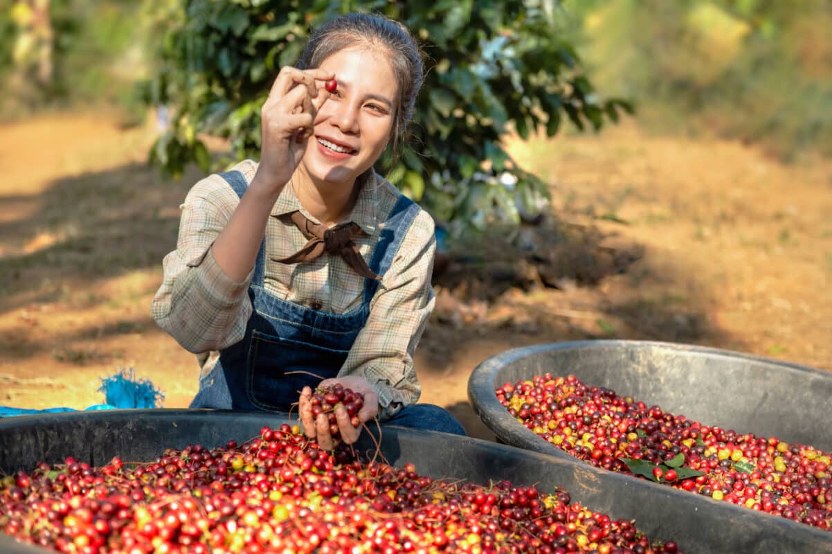 Auswirkungen des Fairtrade-Siegels auf die Kaffeeproduktion